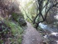 Caminando por el Rio Majaceite